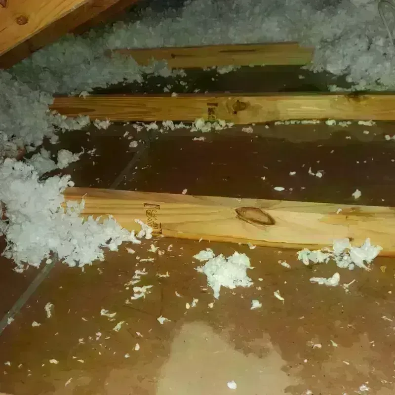 Attic Water Damage in Jackson Center, OH